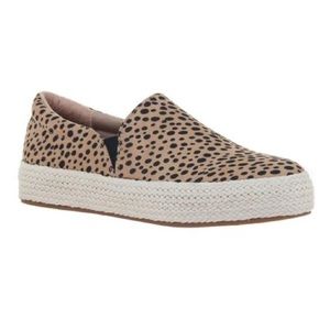 NEW Cheetah Print Slip Ons, Madeline Girl Killa, super cute! Size 8